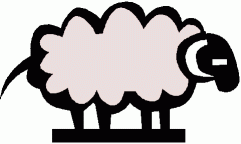 Sheep